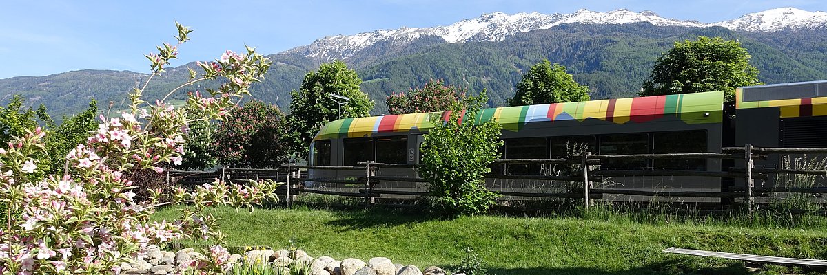 Un treno viaggia attraverso un paesaggio primaverile
